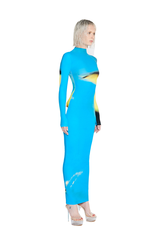 Rayne Dress